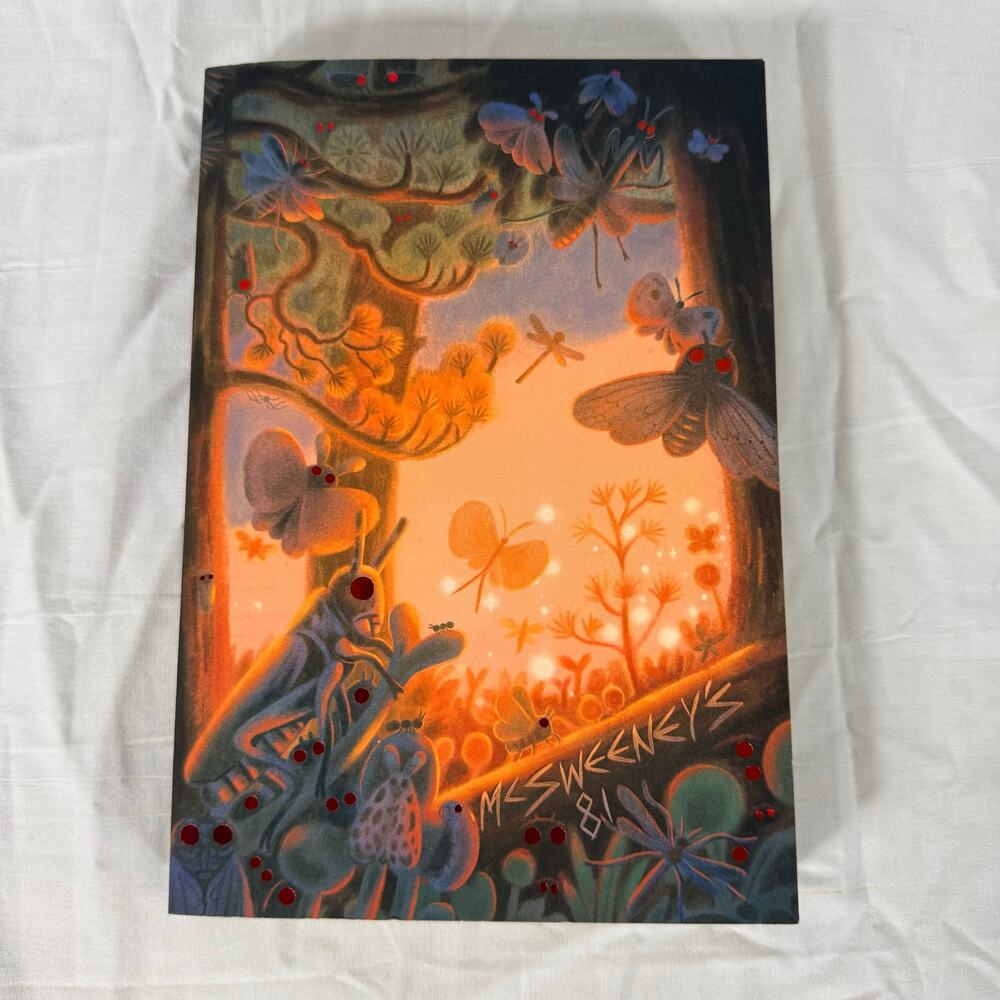McSweeney's Issue 81 (McSweeney's Quarterly Concern) by Dave Eggers Paperback